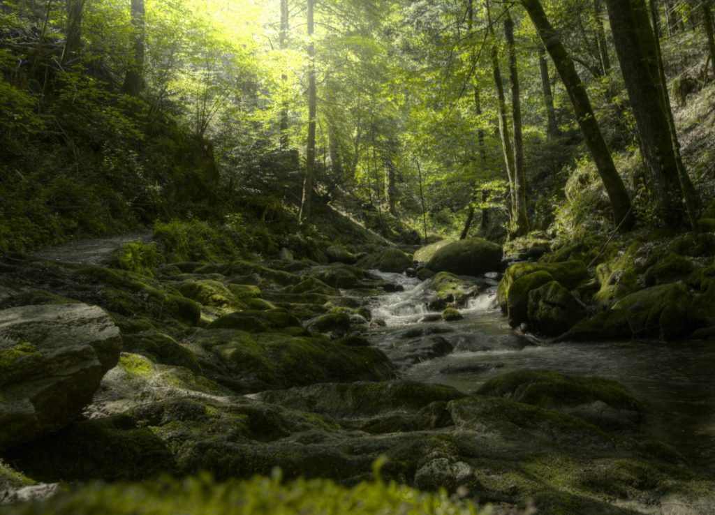 Creek near Gerolsau in Germany - from http://waldgold.de
