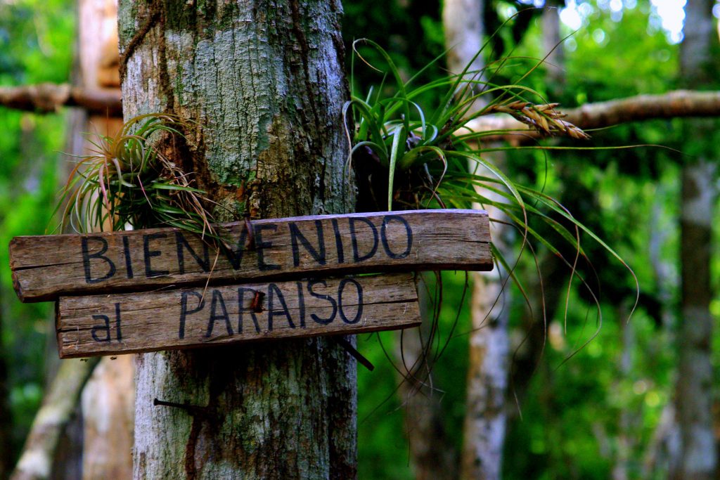 Willkommen im Paradies - Dschungelimpression - Im Peten - Guatemala